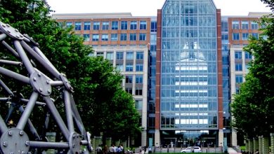 أراد فاحصات براءات الاختراع في USPTO.