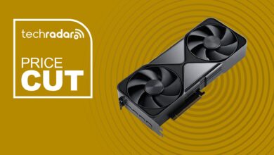 تنخفض وحدة معالجة الرسوميات RTX PRO 6000 Blackwell من PNY إلى 8,168 دولارًا بعد التخفيض الكبير في الأسعار
