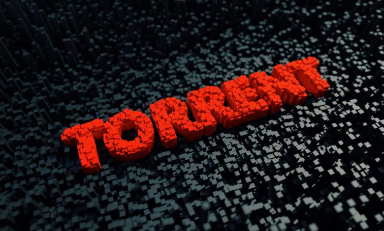 هناك شبكة VPN واحدة فقط مجهزة بالفعل لمنشئي التورنت، وهي الآن بخصم 75%