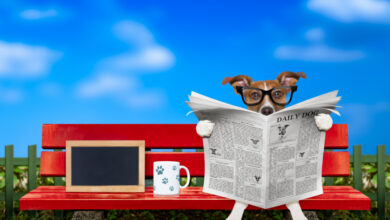 يقوم الكونجرس وترامب باتخاذ إجراءات صارمة ضد شركات الأدوية وموجزات ملفات Amici في Acorda ومكتب الولايات المتحدة للبراءات والعلامات التجارية لتعديل إجراءات تعديل مدة براءات الاختراع